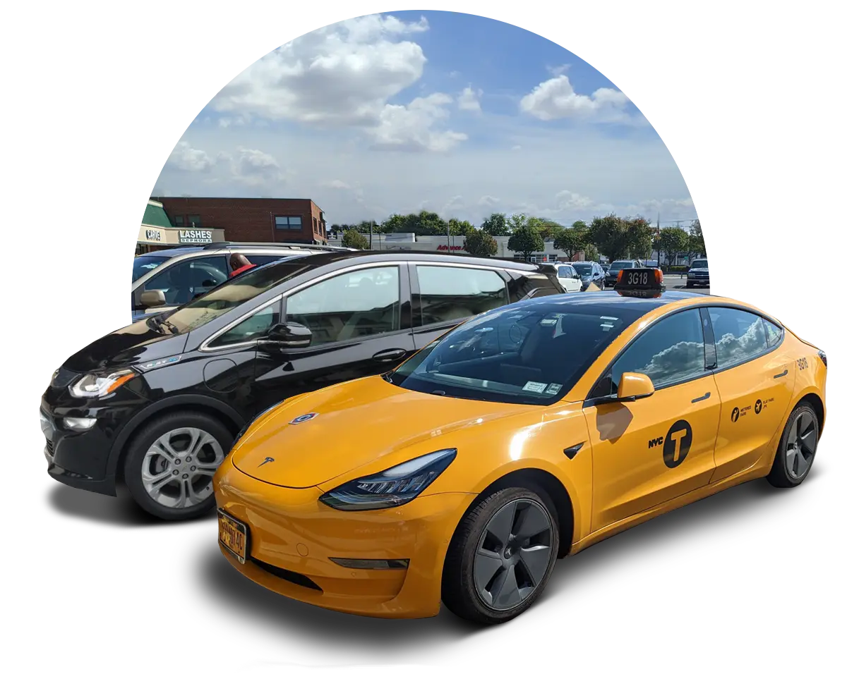 Bolt and Tesla taxis